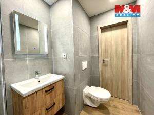 Pronájem bytu 2+1, Prostějov, Družstevní, 61 m2