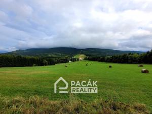 Prodej apartmánu, Ostružná - Ramzová, 36 m2