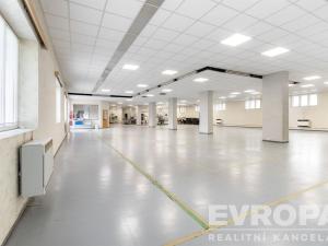Pronájem skladu, Havlíčkův Brod, okres havlíčkův brod, 1290 m2