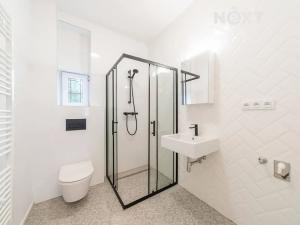 Pronájem bytu 2+1, Ostrava, Palackého, 50 m2
