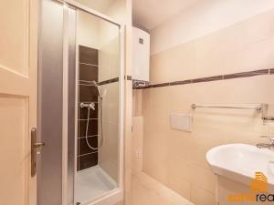 Prodej bytu 1+1, Ústí nad Labem, Na Popluží, 45 m2