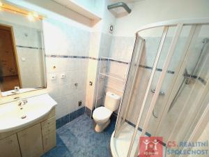 Prodej bytu 1+kk, Znojmo, Družstevní, 29 m2