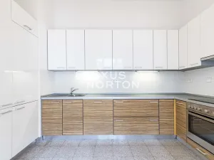 Pronájem bytu 4+1, Praha - Vinohrady, Na Švihance, 140 m2