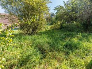 Prodej rodinného domu, Konice, 300 m2