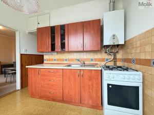 Pronájem bytu 2+1, Duchcov, Družby, 49 m2