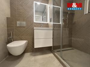 Pronájem bytu 2+1, Ústí nad Labem - Bukov, 17. listopadu, 52 m2