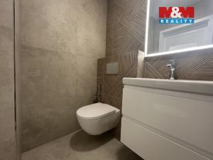 Pronájem bytu 2+1, Ústí nad Labem - Bukov, 17. listopadu, 52 m2