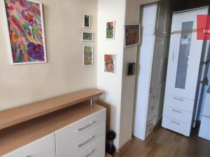 Pronájem bytu 1+1, Teplice, Jankovcova, 40 m2