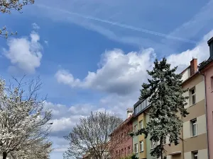 Prodej bytu 2+1, Brno, Zemědělská, 50 m2