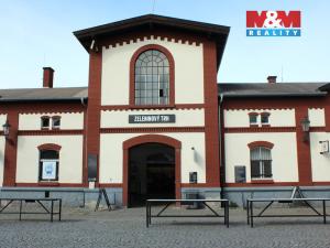 Pronájem bytu 2+1, Praha - Holešovice, Dělnická, 55 m2