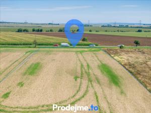 Prodej pozemku pro bydlení, Dyje, 9718 m2