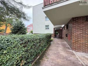 Pronájem bytu 2+1, Teplice, Třebízského, 65 m2