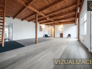 Prodej rodinného domu, Malé Kyšice, Hlavní, 500 m2