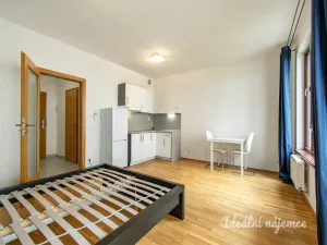 Pronájem bytu 1+kk, Praha - Žižkov, Baranova, 32 m2