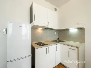 Pronájem bytu 1+kk, Praha - Žižkov, Baranova, 32 m2