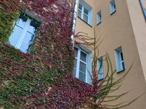 Prodej činžovního domu, Praha - Vršovice, 28. pluku, 623 m2