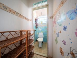 Prodej rodinného domu, Moravský Písek, Sokolská, 210 m2