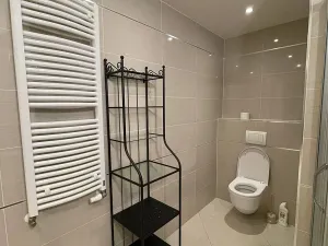 Pronájem bytu 1+kk, Praha - Žižkov, Olšanská, 38 m2