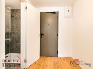 Pronájem bytu 1+kk, Brno - Zábrdovice, Bratislavská, 24 m2