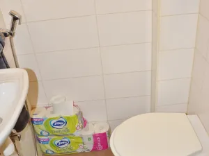 Pronájem bytu 2+kk, Praha - Žižkov, Ježkova, 50 m2