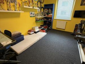 Prodej bytu 4+kk, Přerov - Přerov I-Město, Seifertova, 100 m2