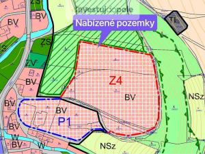 Prodej pozemku, Třebovice, 13034 m2