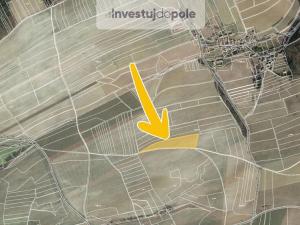 Prodej pole, Hřebečníky - Novosedly, 13258 m2