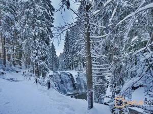 Prodej bytu 1+kk, Harrachov, 39 m2
