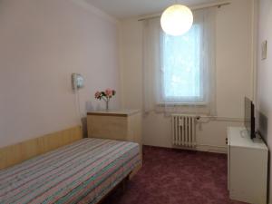 Pronájem bytu 3+1, Zábřeh, Severovýchod, 62 m2