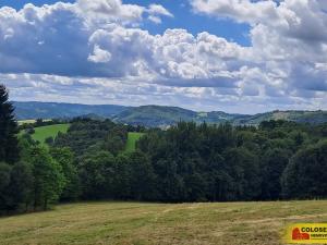 Prodej lesa, Dalečín - Hluboké, 20371 m2