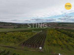 Prodej sadu/vinice, Velké Pavlovice, 5412 m2