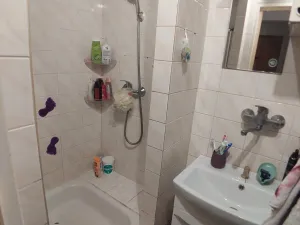 Prodej bytu 2+1, Veselí nad Lužnicí, Nádražní, 56 m2