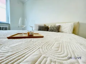 Prodej bytu 2+1, Karlovy Vary, K. Čapka, 55 m2