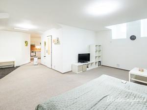 Pronájem bytu 1+kk, Praha - Vinohrady, Mánesova, 63 m2