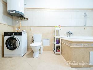 Pronájem bytu 1+kk, Praha - Vinohrady, Mánesova, 63 m2