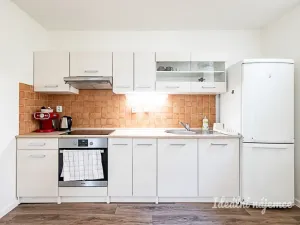 Pronájem bytu 1+kk, Praha - Vinohrady, Mánesova, 63 m2