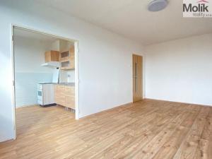 Pronájem bytu 1+1, Most, Javorová, 35 m2