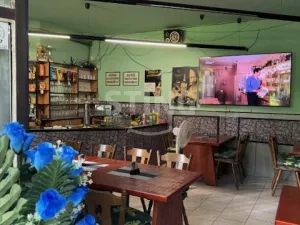 Prodej obchodního prostoru, Český Těšín, Smetanova, 1400 m2