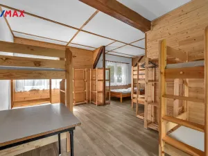 Prodej chalupy, Vysoká Srbská, 900 m2