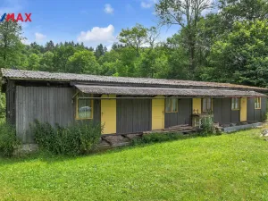 Prodej chalupy, Vysoká Srbská, 900 m2