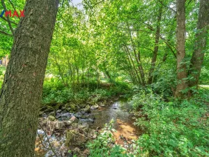 Prodej chalupy, Vysoká Srbská, 900 m2