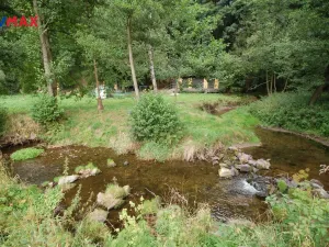 Prodej chalupy, Vysoká Srbská, 900 m2