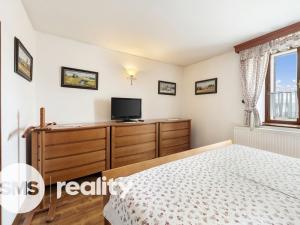 Prodej rodinného domu, Velká Losenice, 250 m2