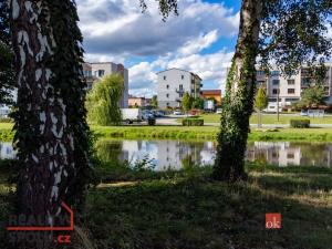 Pronájem bytu 3+1, Holýšov, Pod Makovým vrchem, 73 m2