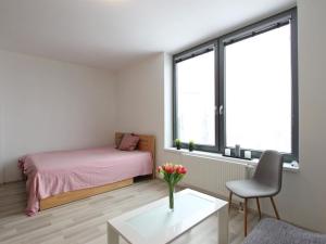 Pronájem bytu 1+kk, Brno - Štýřice, Vídeňská, 41 m2