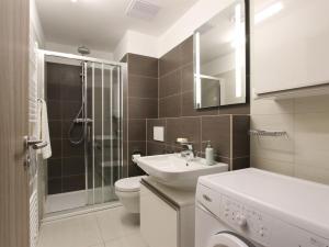 Pronájem bytu 1+kk, Brno - Štýřice, Vídeňská, 41 m2
