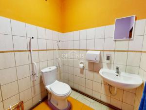 Prodej vícegeneračního domu, Jirkov, Vinařická, 500 m2