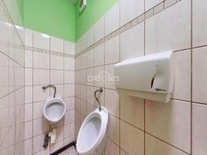 Prodej vícegeneračního domu, Jirkov, Vinařická, 500 m2