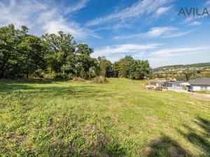 Prodej pozemku pro bydlení, Týnec nad Sázavou - Podělusy, 1315 m2