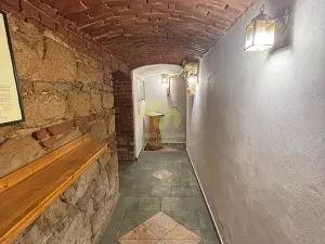 Pronájem restaurace, Plzeň, Lindauerova, 120 m2